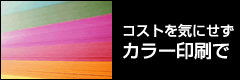 コストを気にせずカラー印刷で